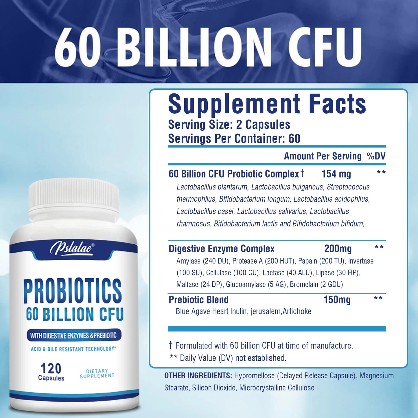 Probiotic + Enzyme Complex (120 caps)